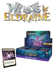  Set Box: Wilds of Eldraine
